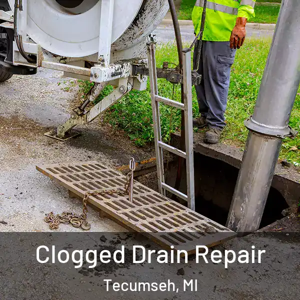  Clogged Drain Repair Tecumseh, MI