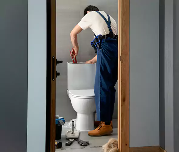 Professional Plumbers for Toilet Bowl Replacement in Flint, MI: Schedule Affordable Toilet Replacement Services With Us