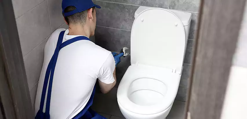 Toilet Lid Replacement in Tecumseh