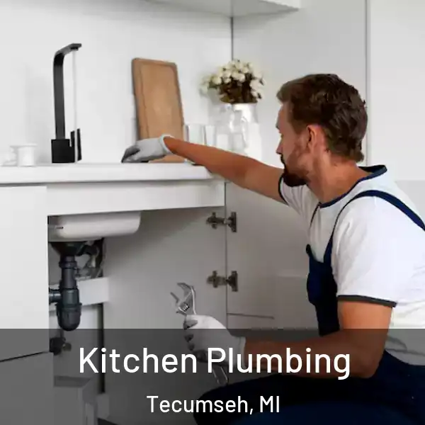  Kitchen Plumbing Tecumseh, MI