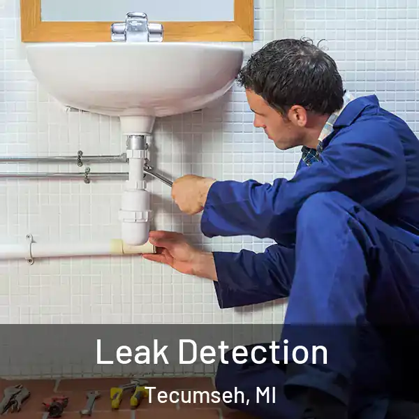  Leak Detection Tecumseh, MI