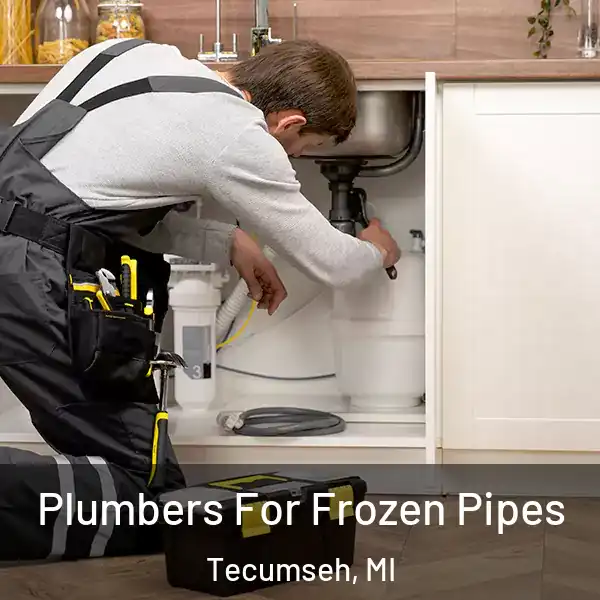  Plumbers For Frozen Pipes Tecumseh, MI