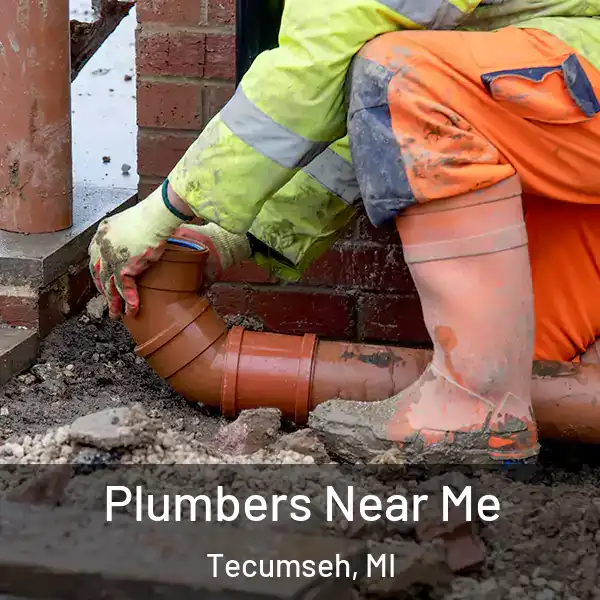  Plumbers Near Me Tecumseh, MI