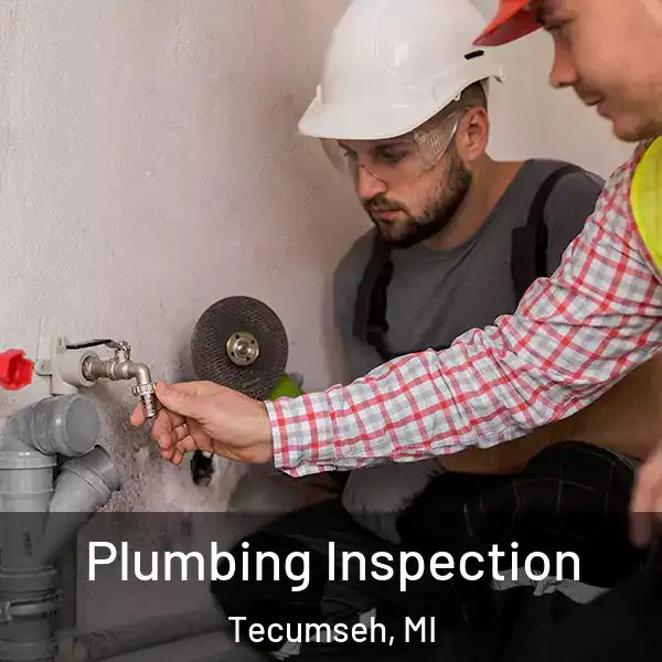  Plumbing Inspection Tecumseh, MI