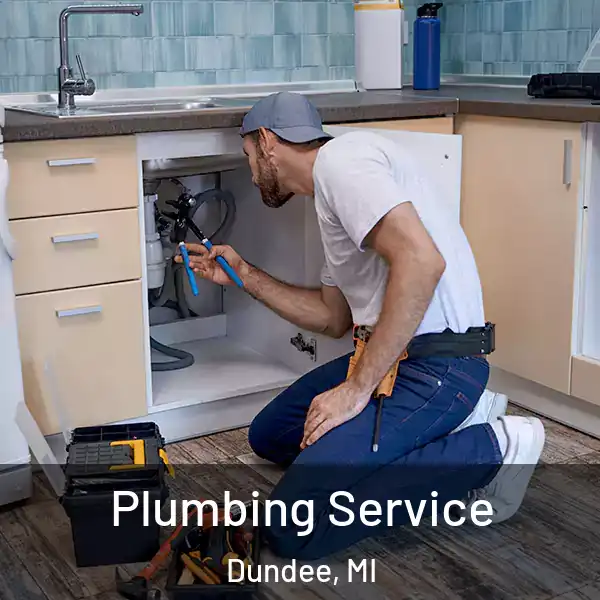  Plumbing Service Dundee, MI