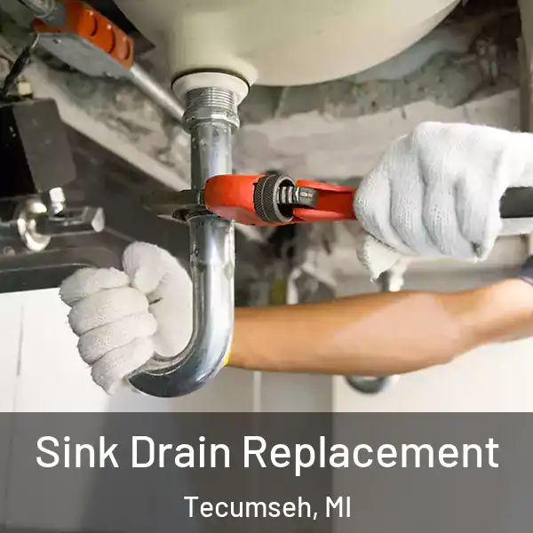  Sink Drain Replacement Tecumseh, MI