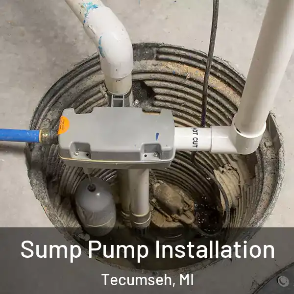  Sump Pump Installation Tecumseh, MI