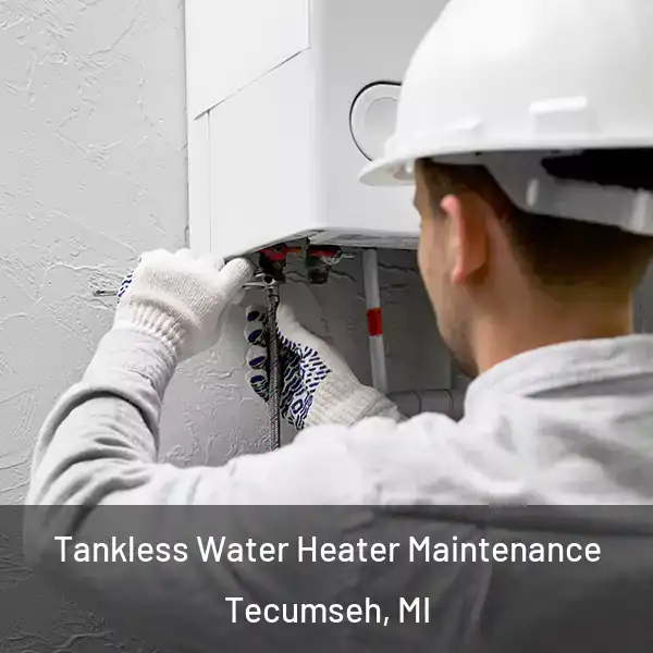  Tankless Water Heater Maintenance Tecumseh, MI