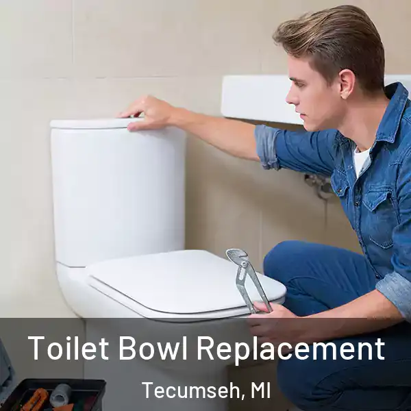 Toilet Bowl Replacement Tecumseh, MI