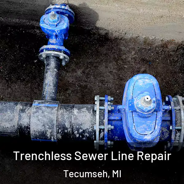  Trenchless Sewer Line Repair Tecumseh, MI