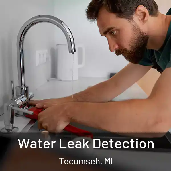  Water Leak Detection Tecumseh, MI